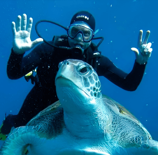 Private Yacht Diving Trip