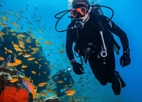 Intro Diving (2 intros 15 mins each)