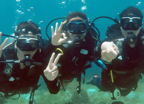 PADI Open Water Course