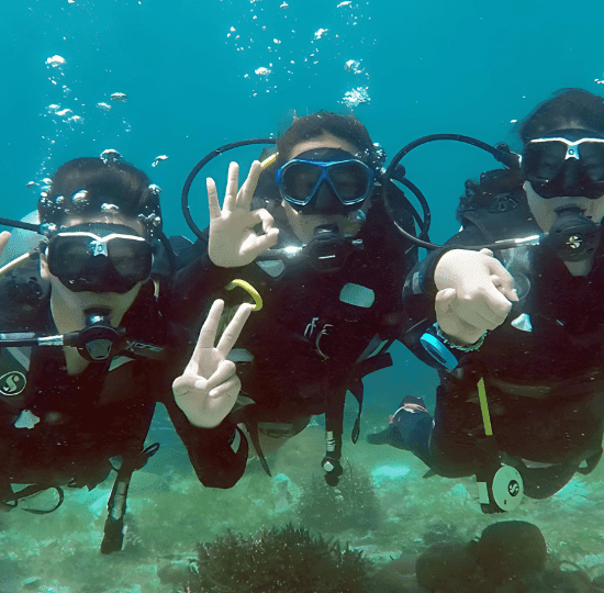 PADI Open Water Course