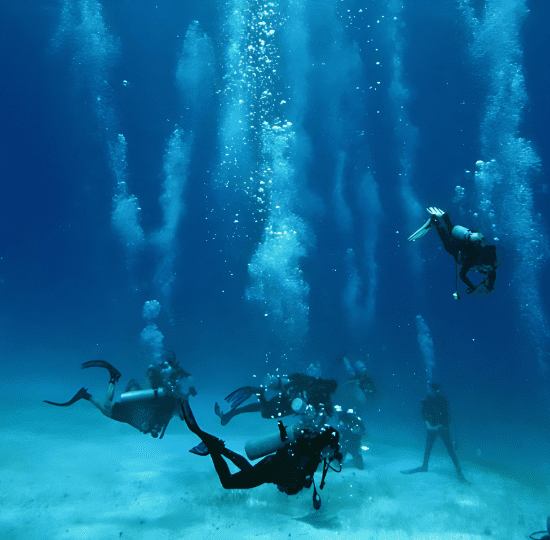 Professional Diving Trip