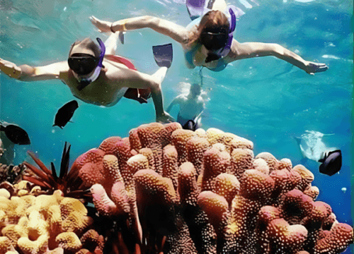 Snorkeling Trip