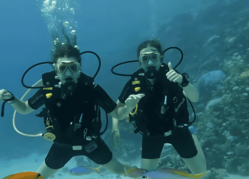 Intro diving (2 intros 30 mins each)