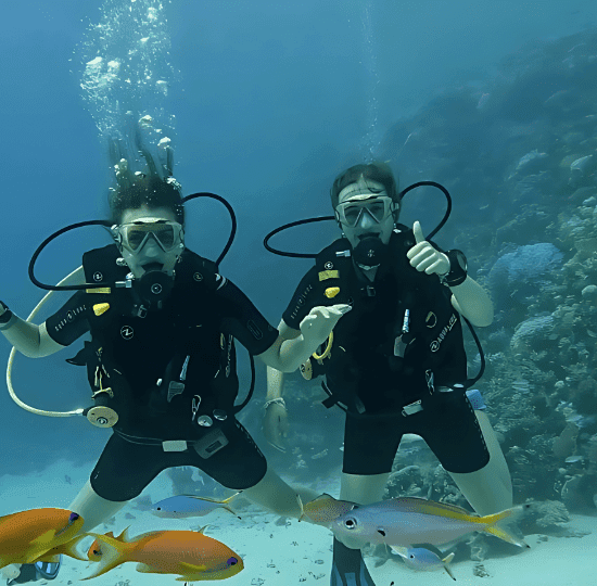 Intro diving (2 intros 30 mins each)